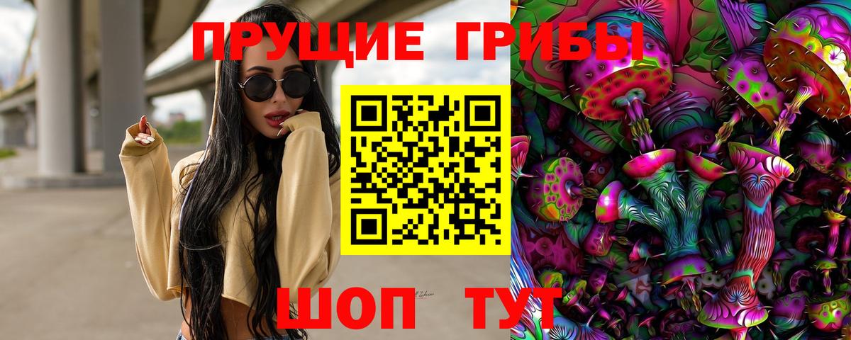 Псилоцибиновые грибы Psilocybe  Вход с VPN  сколько стоит  Псилоцибиновые грибы Psilocybe  Кохма 