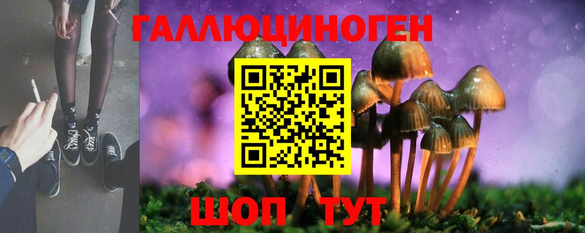 Псилоцибиновые грибы GOLDEN TEACHER Кохма